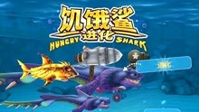 最新饥饿鲨鱼进化游戏评析，玩家观点与个人立场探讨