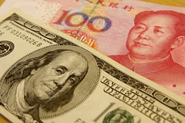 11月2日美元新闻下的自然之旅，探索内心宁静与货币魔力
