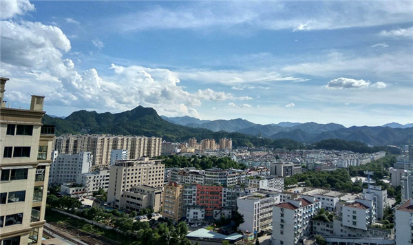 政策解读
