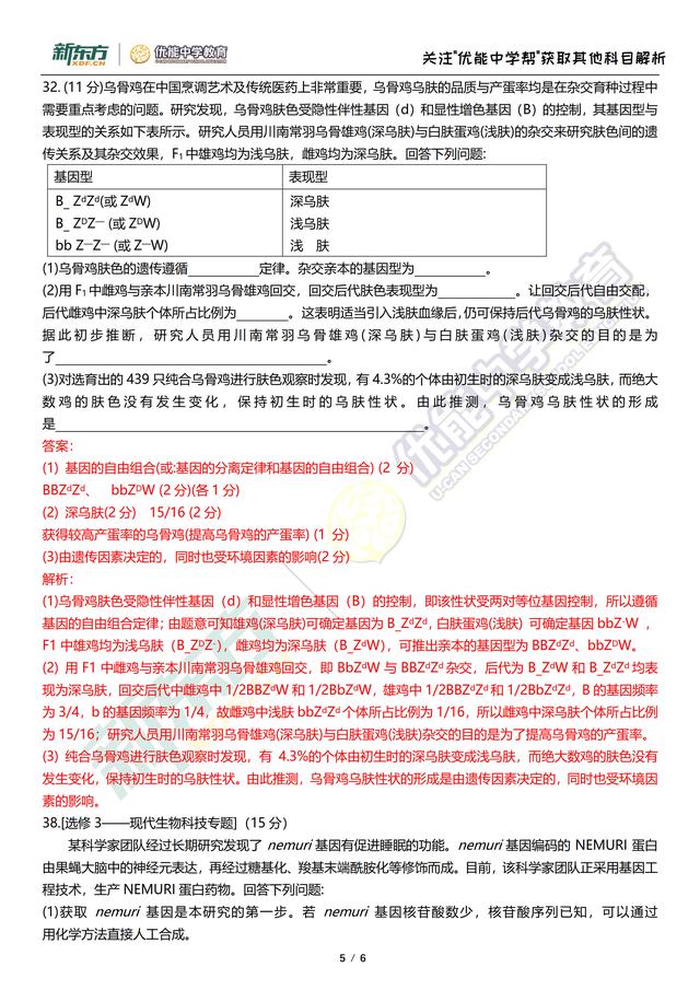 新澳2025正版资料免费公开,权威策略解答解释研究_DP版63.174