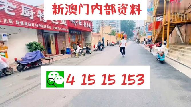 2025澳门天天开好彩大全免费,基础解答解释落实_KP38.72
