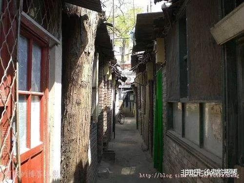 探秘小巷深处的独特秘境，九宝最新美食之旅揭秘