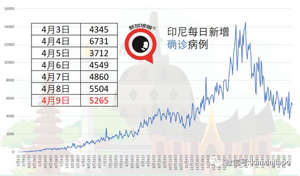 11月4日印尼肺炎最新疫情全面解析及关注焦点