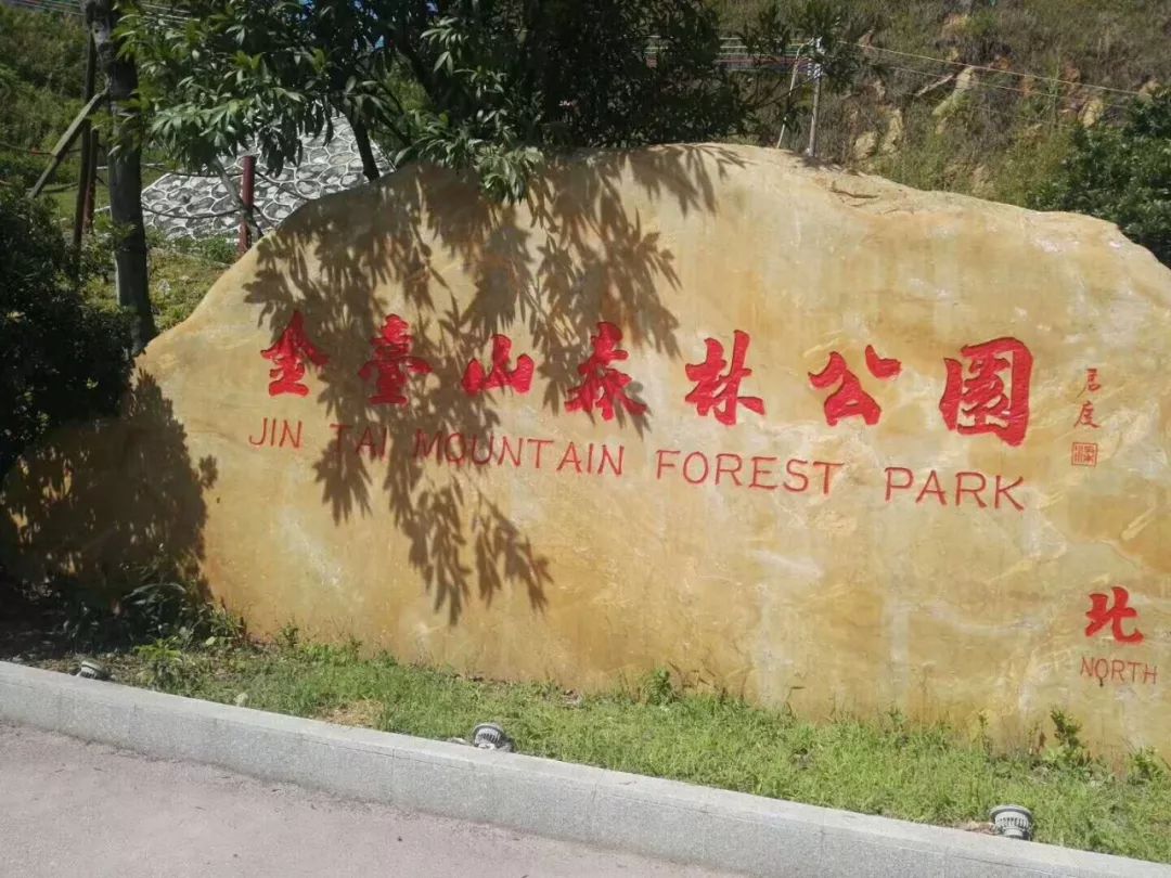钟姿精选 第818页