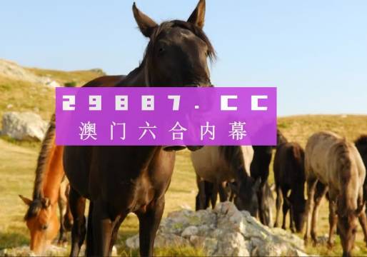 澳门管家婆资料一码一特一,智慧解答解释实施_长期集67.109