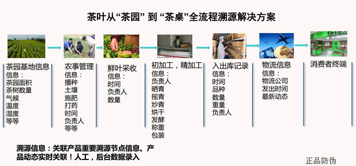 一码一肖一特早出晚,数据解析导向策略_迅捷款0.810