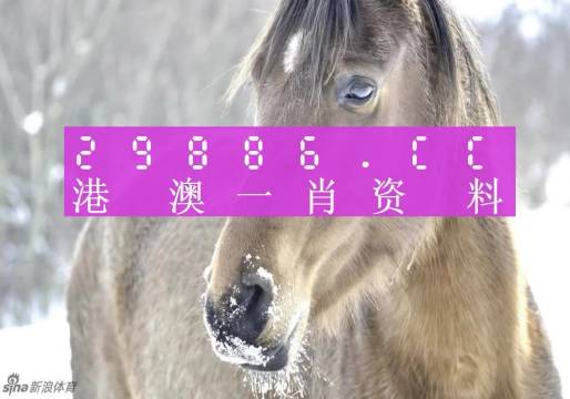 澳门平特一肖100%准资优势,必要解答解释落实_RR46.742