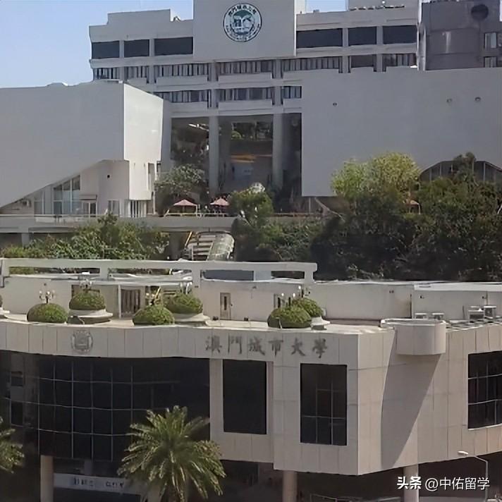 2025澳门天天开好彩大全正版,实地分析数据应用_场地集48.072