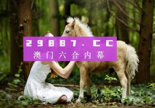 4949精准澳门彩最准确的,综合计划定义评估_立体集51.360