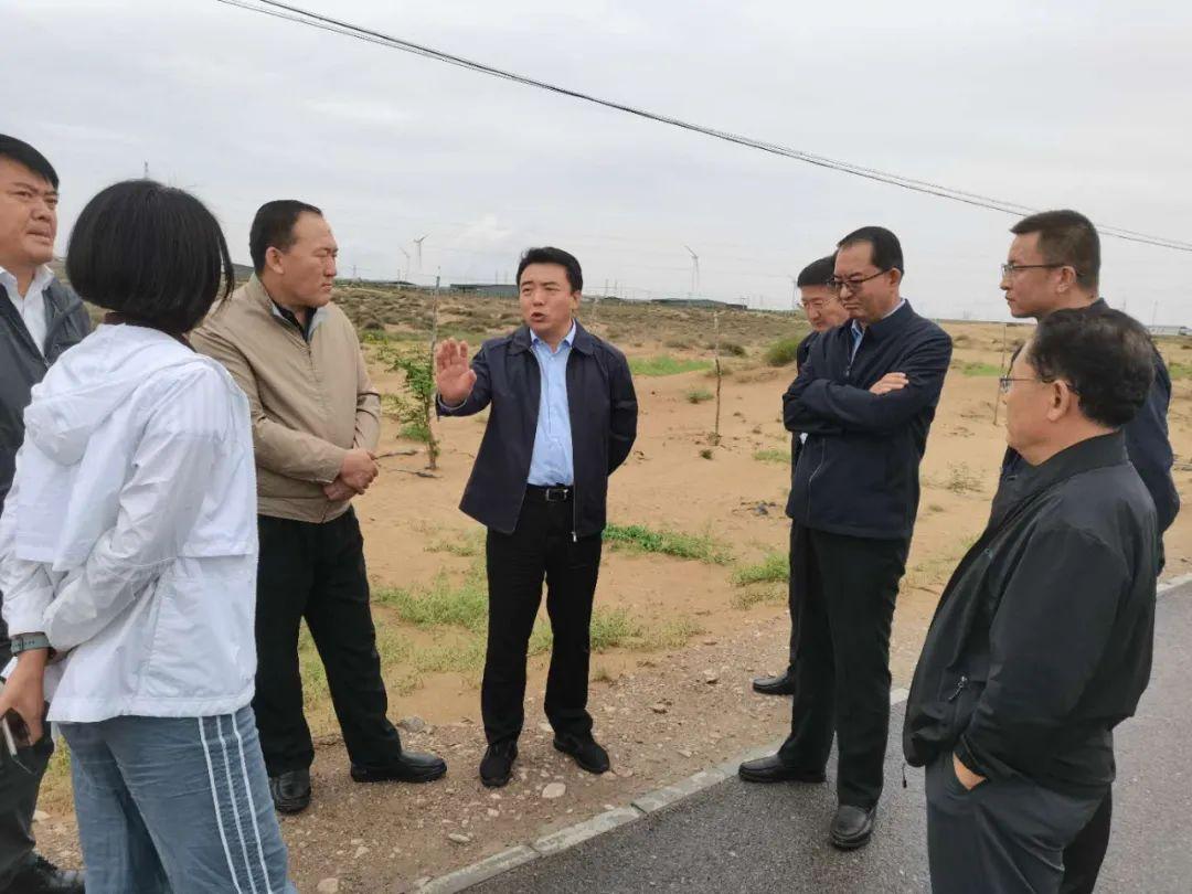 新澳今天最新资料,智能解答解释落实_动能版8.163