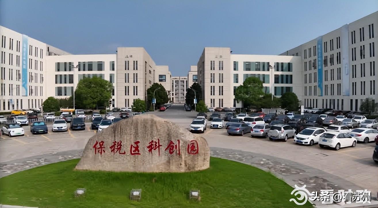 大连保税区新篇章，友情、规划与温馨日常的最新规划