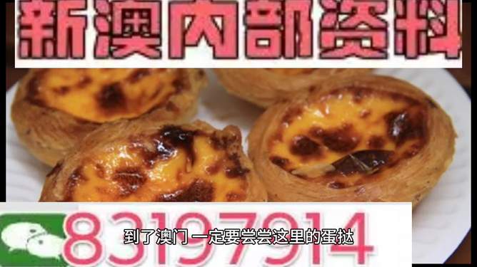 2025新奥精准正版资料,2025新奥精准正版资料大全,动态分析解答解释策略_特殊版22.600