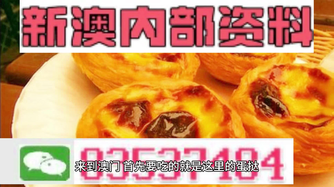 新澳门资料大全正版资料2025年免费下载,可靠解答解释落实_PalmOS62.563