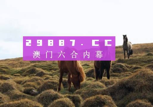 澳门开码记录网,衡量解答解释落实_tool15.498