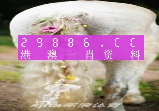 2025澳门一肖一码资料,深远解答解释落实_R版43.998