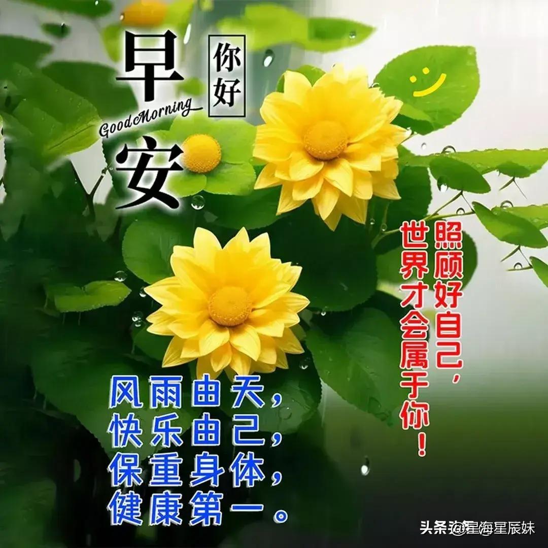 2025天天彩全年免费资料,赢家结果揭晓_终极版173.9