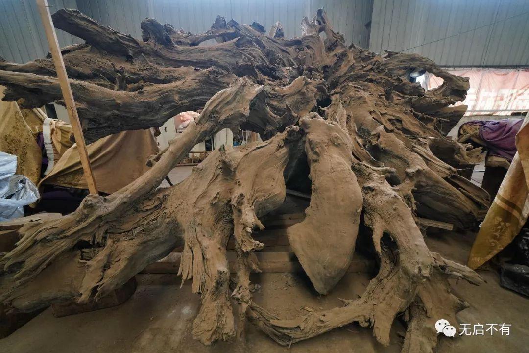 启东地震最新信息下的自然美景探寻之旅