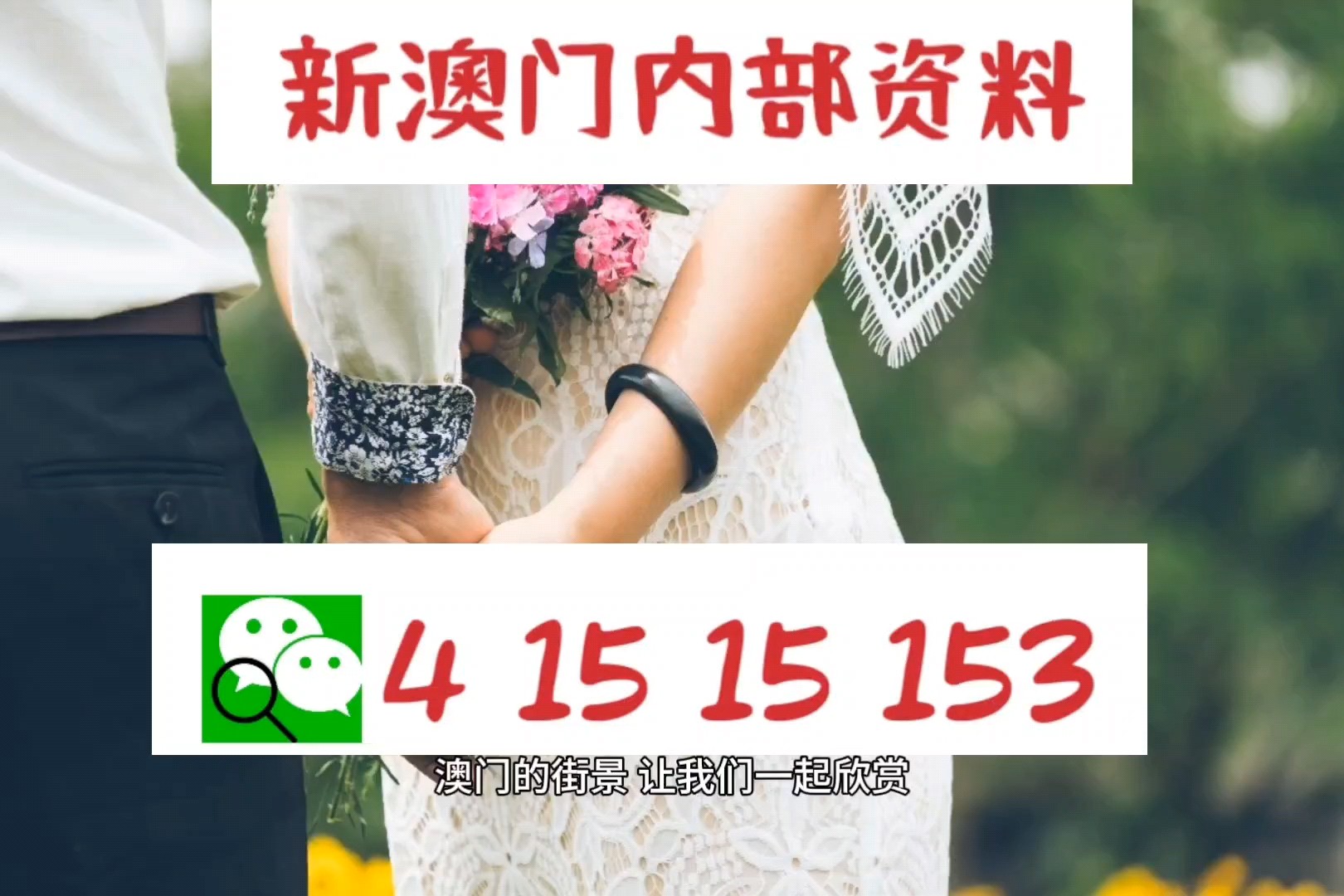236767澳门今晚开什么号码,最新热门解答定义_铂金版989.83