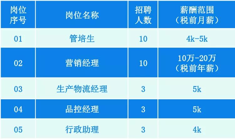 2025新澳兔费资料琴棋,决策资料落实_力量版NAB700.81