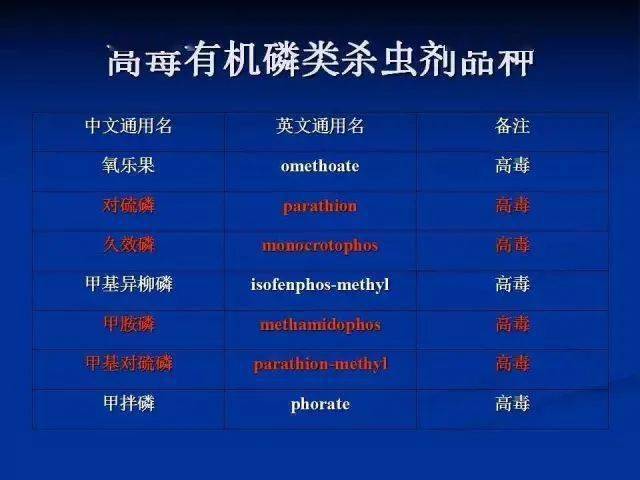 2025年正版资料免费大全,全面解答解析_投入版IKE306.04