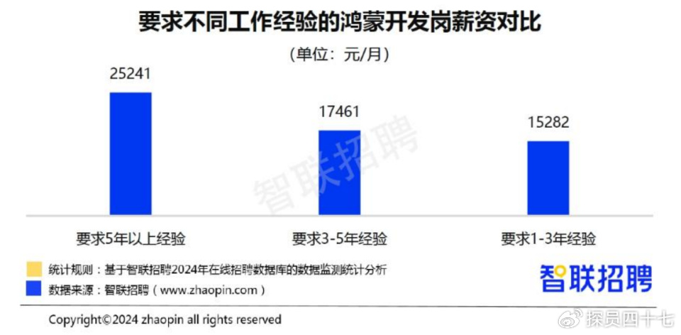 2025龙门视窗最新应聘指南，把握职场新机遇的全面解析