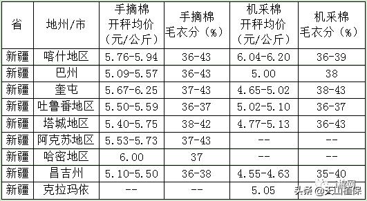 今日籽棉最新价格解读与查询，成为行业小达人的必备指南