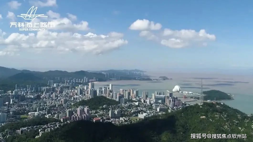 2025新澳官方正版资料大全免费获取，详尽解析_限量CGW493.47版