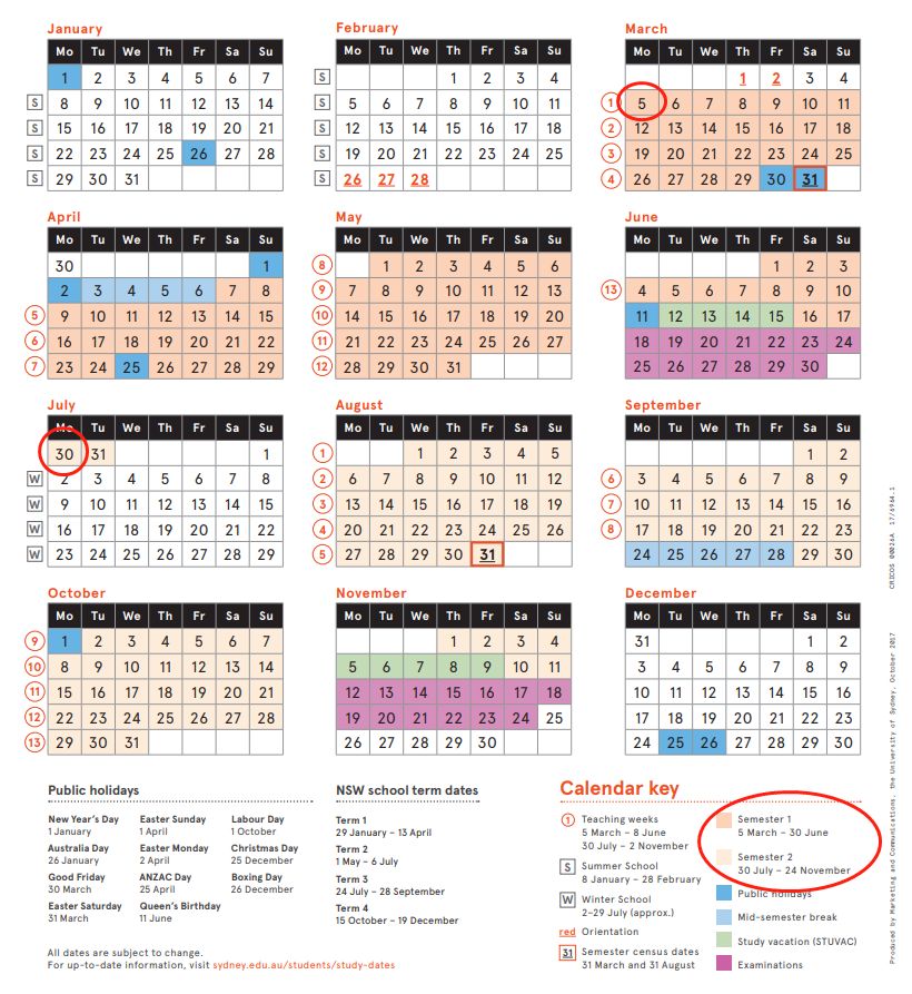 2025全新澳版免费资源，TZY817.42动态词汇详解_终极修订版