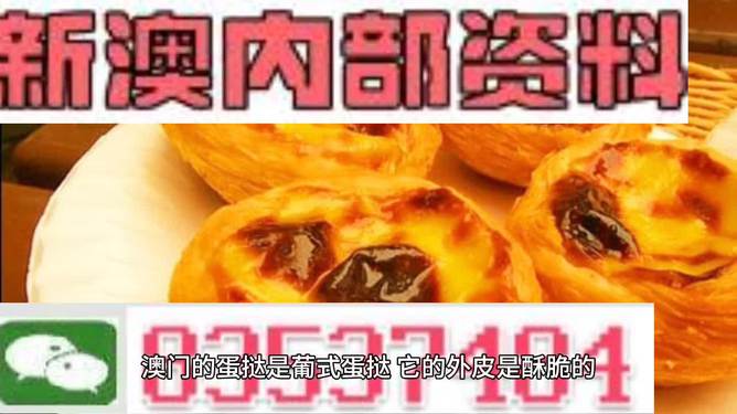 2025新澳精准资料大全,素材动态方案解答_尊享版MXB365.97