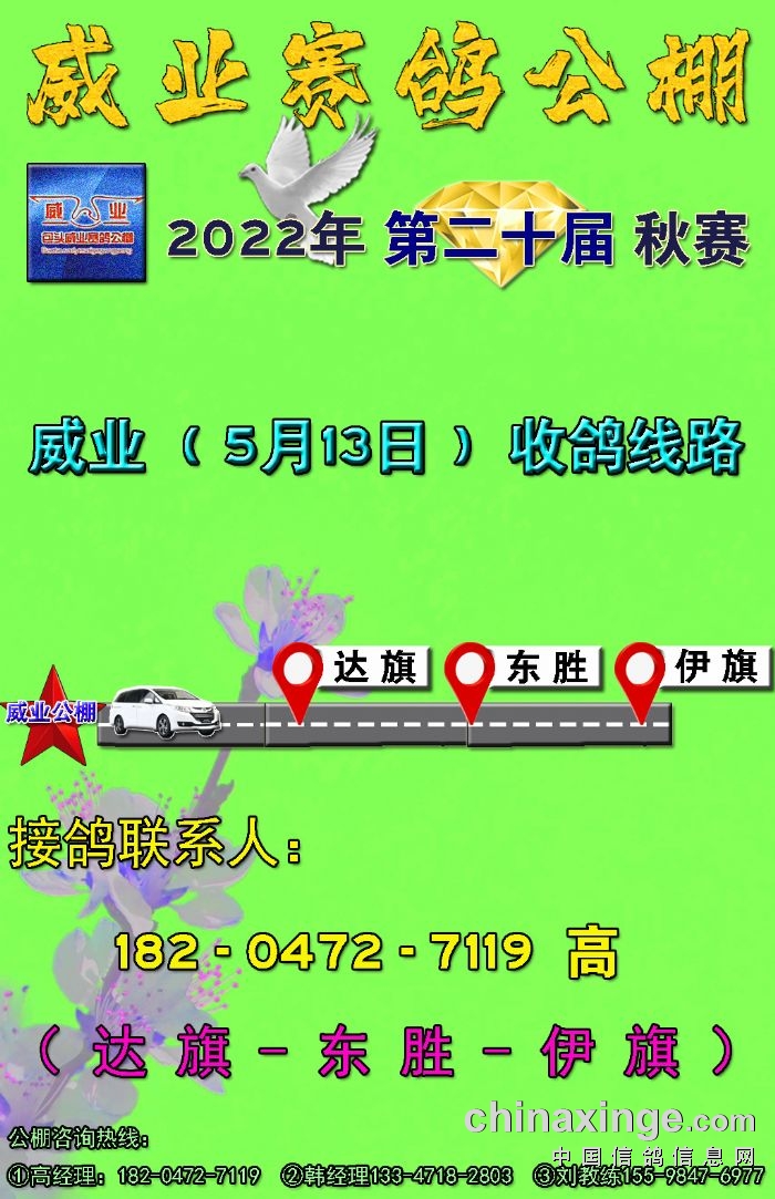 11月威业赛鸽公棚新公告，鼓舞人心，翱翔新篇章