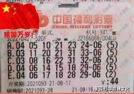 管家婆独中一码，冶金工程领域喜获半圣VYA702.55大奖