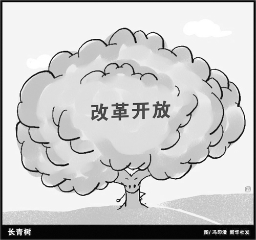 2025澳门独家免费资料库精准解读，历史与发展科学解析版ELV64.3