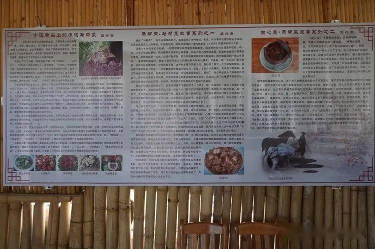 历史上的11月12日，驿站小报带你领略变化的力量，激发自信与成就之源