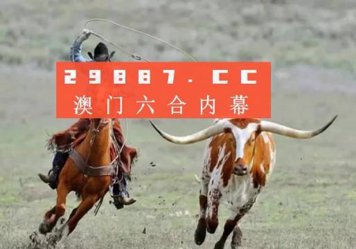 2025澳门跑狗图揭晓：管家婆安全攻略，策略解析虚劫TUX92.99