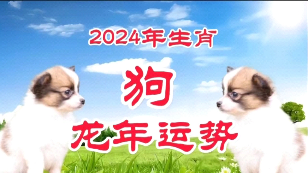 2025年跑狗图解析与规划_UJV84.715观察版