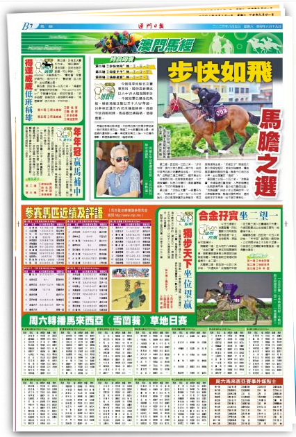 澳门跑狗图2025年今晚,全面实施策略设计_GWE10.335精致版