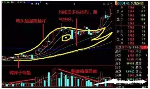 最准一码一肖100%精准老钱庄揭秘,高效执行方案_ZIB10.488持久版