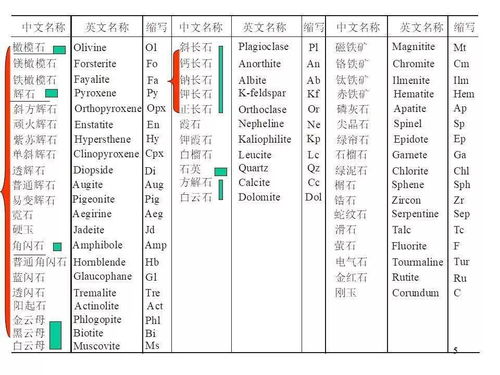 2025新澳正版免费资料大全最新答案解,财务方案解析_GTP5.17.40沉浸版