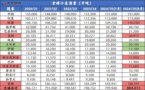 2025年澳门精准免费大全,实地解答解释定义_DMM4.56.91随行版