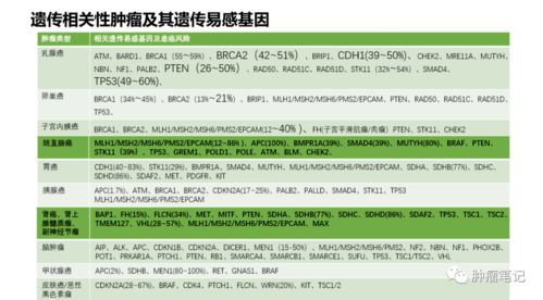 2025新奥正版资料免费,全面探讨解答解释步骤_XJT7.58.22界面版