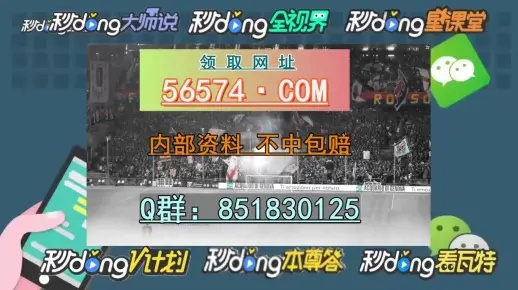 shibigongqing 第13页