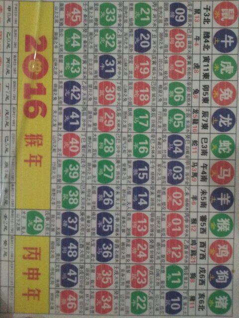 2025十二生肖49码表,精妙解答解释落实_ALL3.39.66高配版