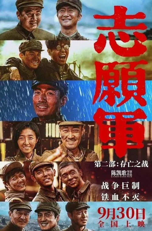 夺冠电影观后感，撰写指南与启示（2025年11月）