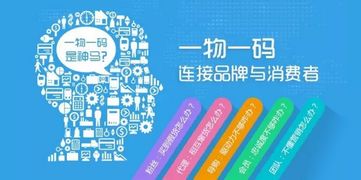 澳门一码一肖一特一中管家婆，2025年11月19日灵活解读数据_CVO1.31.37日常版