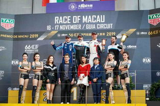 2025澳门赛马会今晚开特马直播及11月19日历史数据解析_WOP4.35.77版