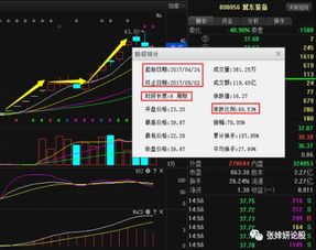 勇敢的心2重磅更新，科技重塑勇者之魂，11月19日新功能引领体验革新