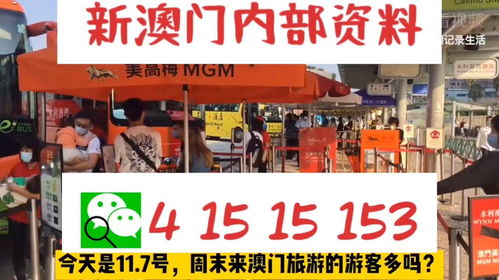 澳门管家婆一码必中，理性解析解答之路_XTU9.62.85赛博版本