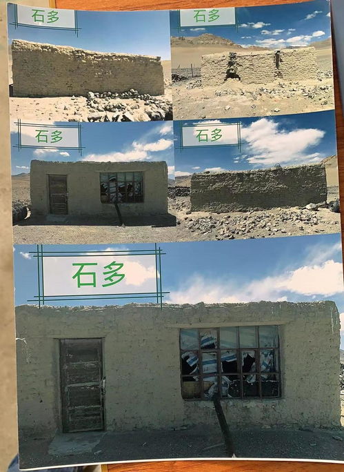 海原县搬迁故事揭秘，隐秘小巷的特色小店与探索之旅最新报道（往年11月19日）