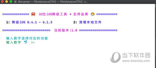 2025今晚开特马开奖结果,快捷解决方案分析_FXV6.38.26领航版
