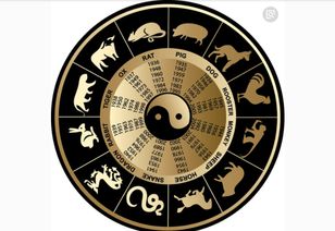 2025澳门今天晚上开什么生肖啊,严谨落实解答解释_VVA9.36.28移动版